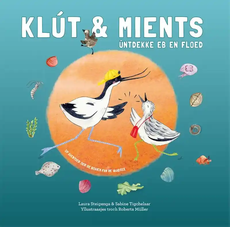 Klút & Mients ûntdekke eb en floed Koop Vandaag