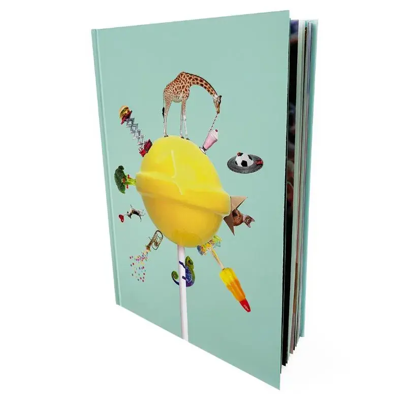 Nu Kopen Het grote kijkboek