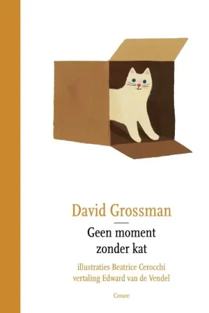 Tijdelijk Beschikbaar Geen moment zonder kat