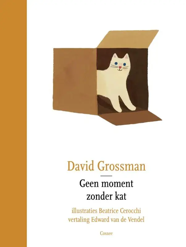 Tijdelijk Beschikbaar Geen moment zonder kat