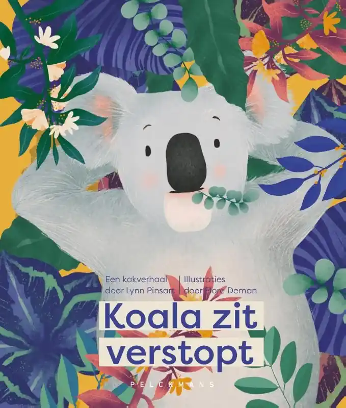 Beste Prijs Koala zit verstopt