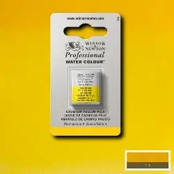 Winsor & Newton PWC 1/2 napje S4 – 166 cadmium yellow pale Rechtstreeks Van De Fabrikant