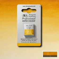 Gratis Verzending Winsor & Newton PWC 1/2 napje S1 – 552 raw sienna
