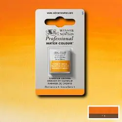Express Levering Winsor & Newton PWC 1/2 napje S4 – 161 cadmium oranje