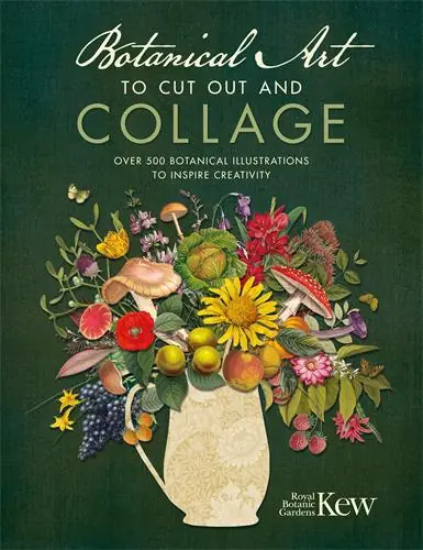 Botanical Art to Cut out and Collage, Kew Royal Botanic Gardens Bestel Nu