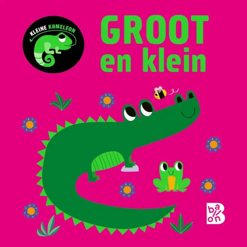Kleine kameleon Tijdelijk Beschikbaar