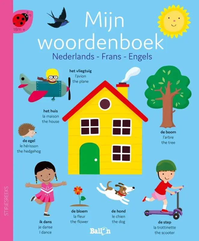 Express Levering Nederlands, Frans, Engels