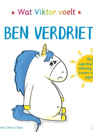 Betaalbaar Ik ben verdrietig