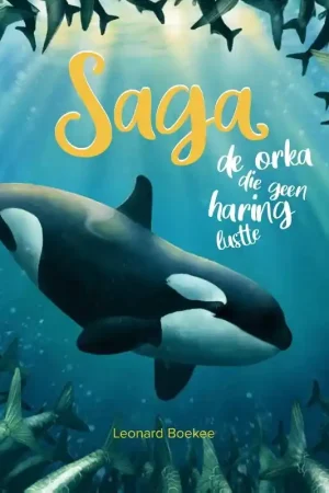 Saga Flitsaanbieding