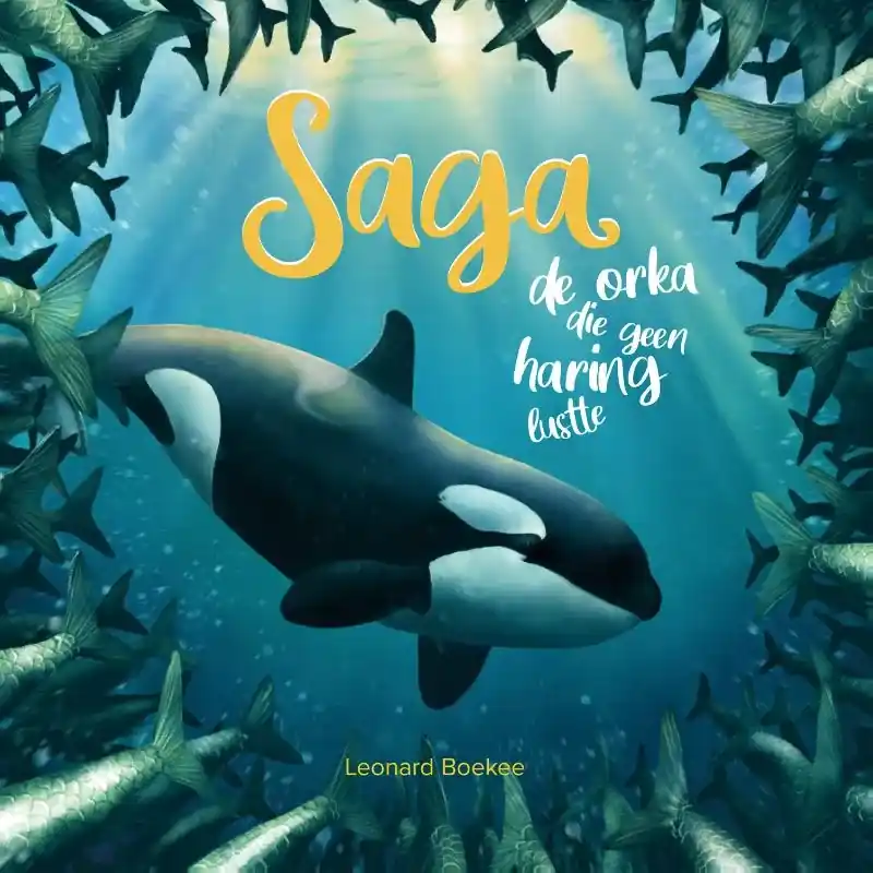 Saga Flitsaanbieding