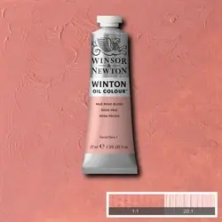 Gratis Verzending Winsor & Newton Winton olieverf 37ml – 257 vleeskleur