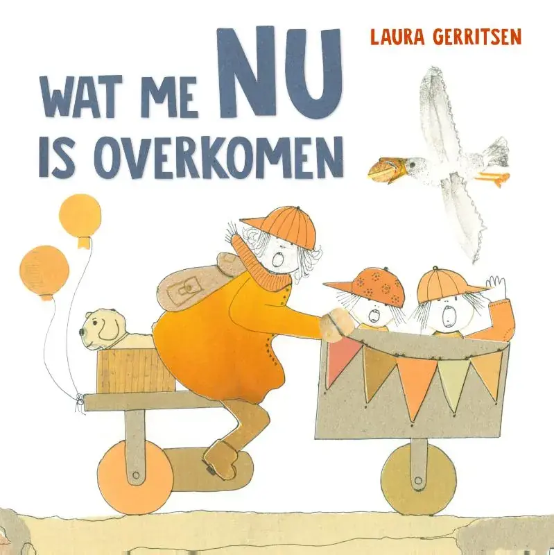 Lage Prijs Wat me nu is overkomen
