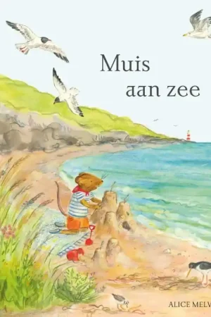 Direct Beschikbaar Muis aan zee