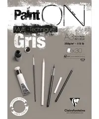 Clairefontaine Paint on gris A3 250gr Aanbieding