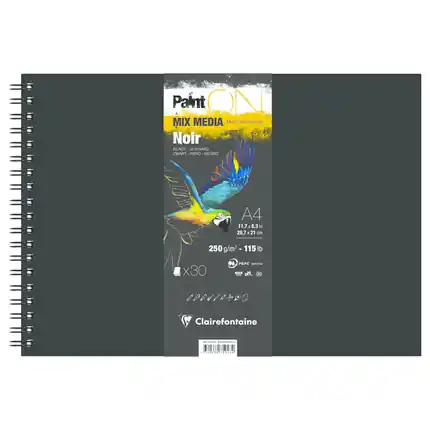 Beste Prijs Clairefontaine Paint on met ringband – noir 250 A4
