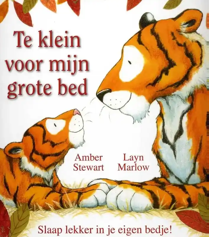Hete Deal Te klein voor mijn grote bed