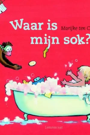Direct Beschikbaar Waar is mijn sok?