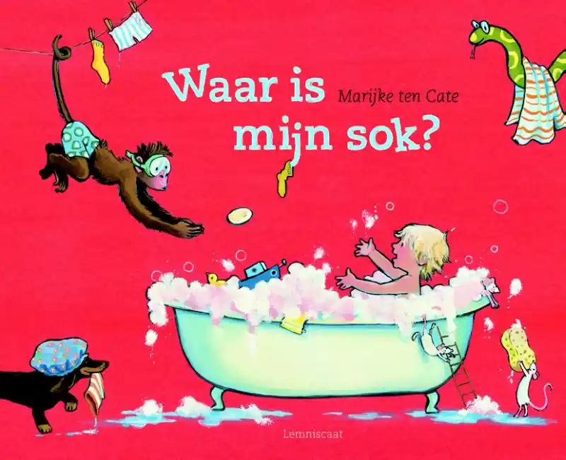 Direct Beschikbaar Waar is mijn sok?