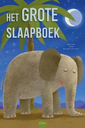 Betaalbaar Het grote slaapboek