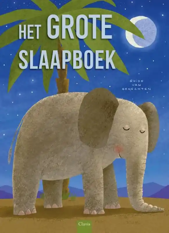 Betaalbaar Het grote slaapboek