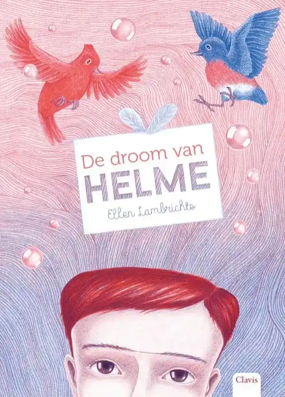 Betrouwbaar De droom van Helme