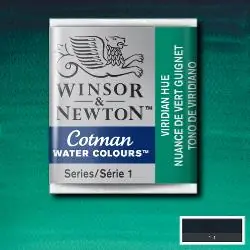 Merkproduct Winsor & Newton Cotman aquarelverf 1/2 napje – 696 viridian hue