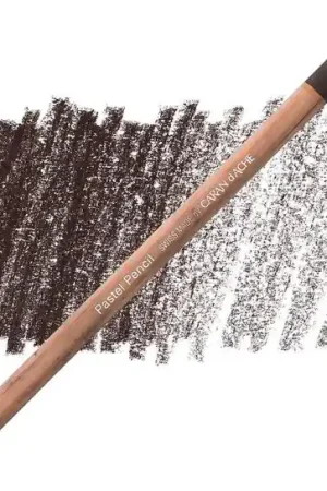 Alleen Vandaag Caran d'ache pastelpotlood darkflesh 748