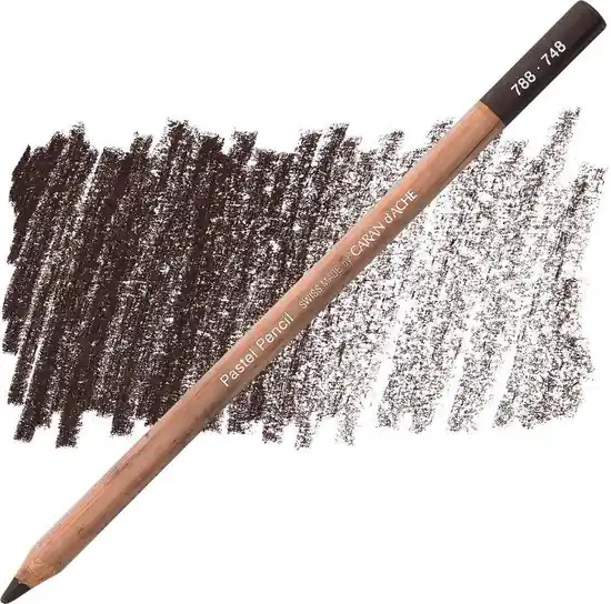 Alleen Vandaag Caran d'ache pastelpotlood darkflesh 748