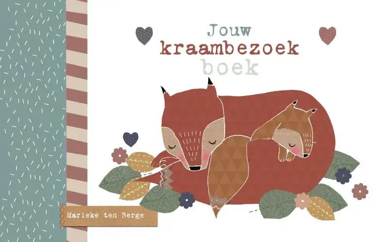 Jouw kraambezoekboek Veilige Betaling