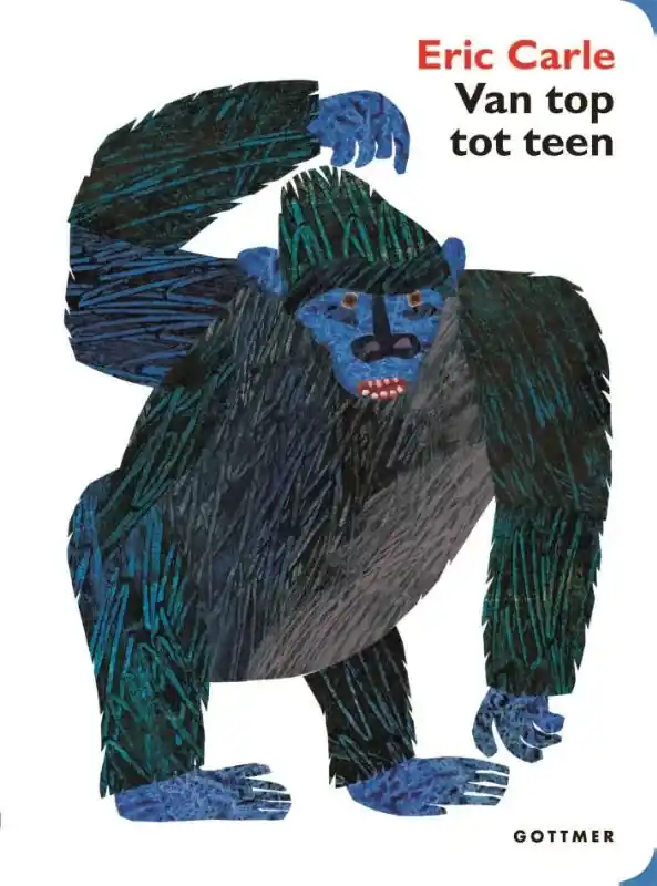 Van top tot teen Direct Verzonden