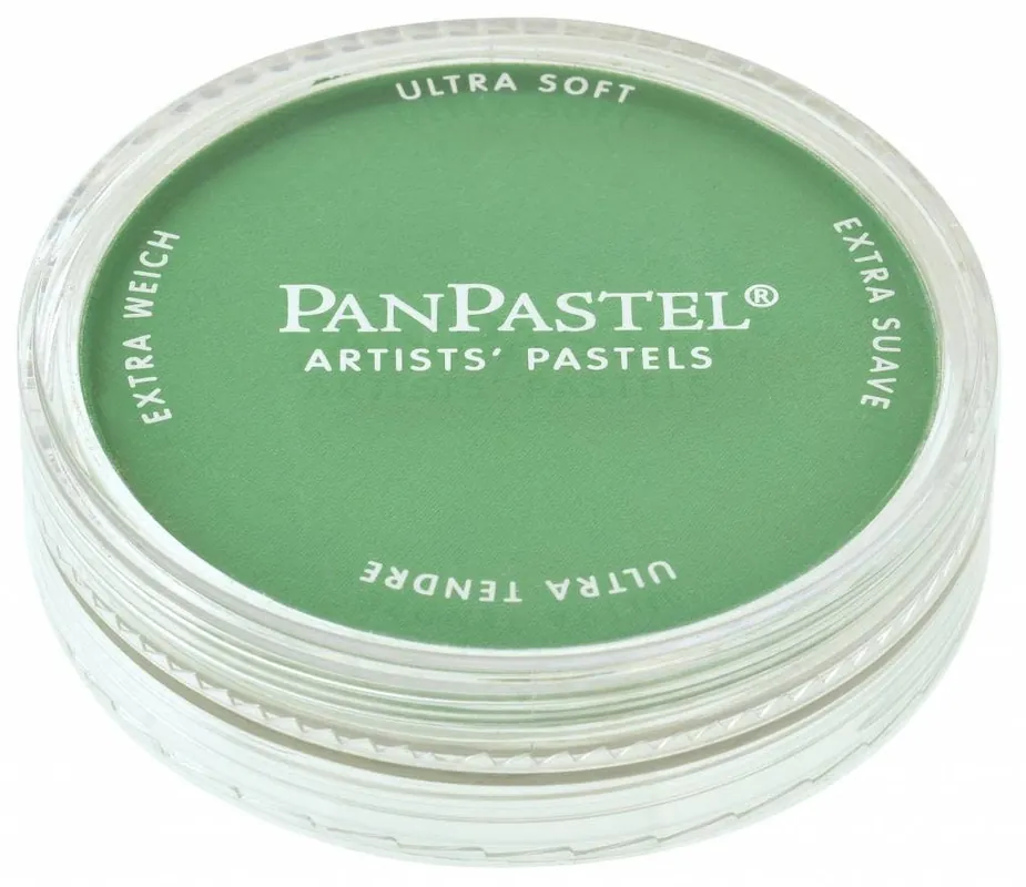 PanPastel – 640.5 permanent green Direct Beschikbaar