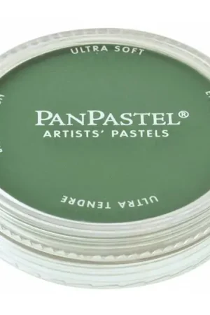 Aanbieding PanPastel – 640.3 permanent green shade