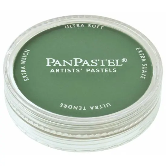 Aanbieding PanPastel – 640.3 permanent green shade