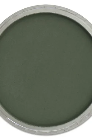 Seizoensaanbieding PanPastel – 640.1 permanent green extra dark
