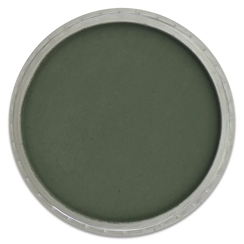 Seizoensaanbieding PanPastel – 640.1 permanent green extra dark