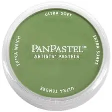 PanPastel – 660.5 chromium oxide Gecertificeerd