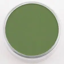 Express Levering PanPastel – 660.3 chroom oxyde green shade