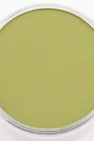 PanPastel – 680.3 bright yellow green shade Hoge Kwaliteit