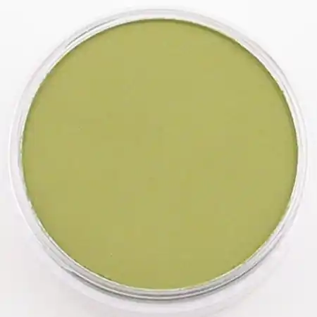 PanPastel – 680.3 bright yellow green shade Hoge Kwaliteit