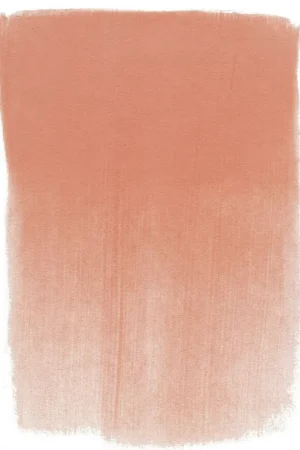 PanPastel – 310.6 vermillion medium Finale Uitverkoop