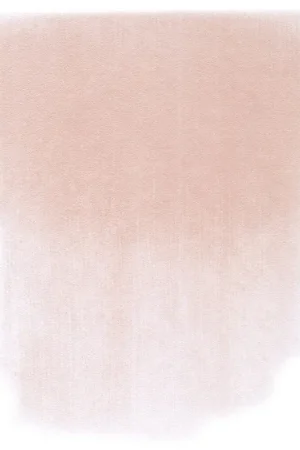Shop Nu PanPastel – 350.8 crimson tint