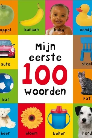 Dagaanbieding Mijn eerste 100 woorden