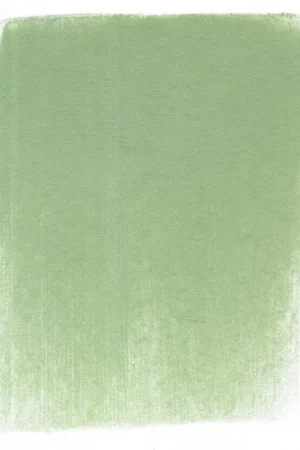 Express Levering PanPastel – 660.7 chromium oxide green light