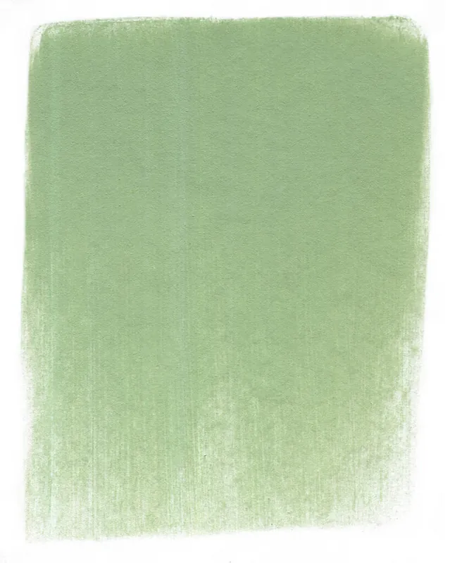 Express Levering PanPastel – 660.7 chromium oxide green light