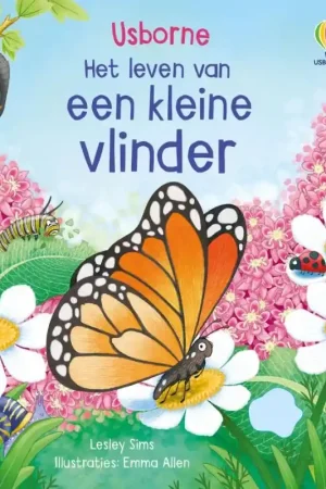 Express Levering Een kleine vlinder