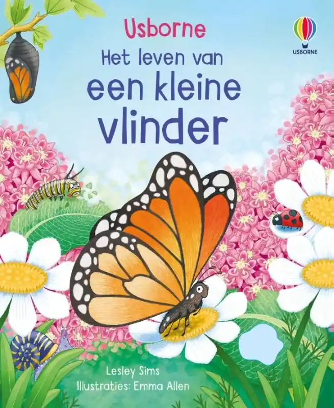 Express Levering Een kleine vlinder