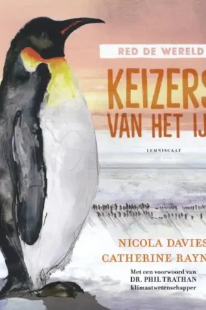 Fabrieksprijs Keizers van het ijs