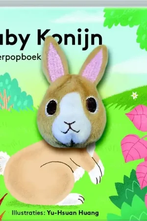 Baby Konijn Tijdelijk Beschikbaar