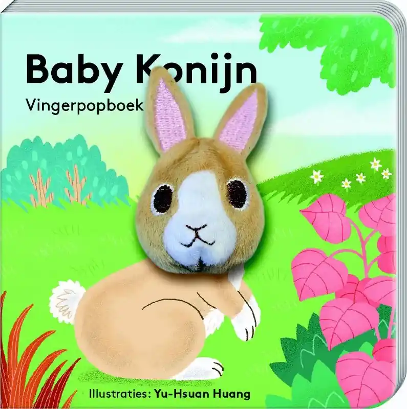 Baby Konijn Tijdelijk Beschikbaar