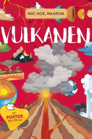 Wat, hoe, waarom Finale Uitverkoop